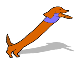 Funny Dachshund sticker #9909436