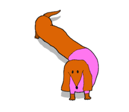 Funny Dachshund sticker #9909438