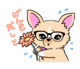 Large dog and glasses Chihuahua sticker #9910034