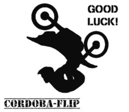 Human shadow FMX BIKE sticker #9911378