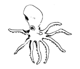 nasi Doodle Sticker sticker #9912517