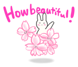 Colorful message from Bunny ! sticker #9912829