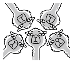 Alpaca-Lucas sticker #9913578