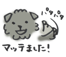 Mofu-Mofu Black Pomeranian "ToraKichi" sticker #9916569