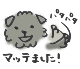 Mofu-Mofu Black Pomeranian "ToraKichi" sticker #9916569