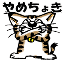 Cat of Tosa accent sticker #9916792