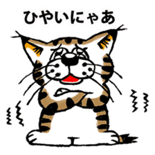 Cat of Tosa accent sticker #9916796