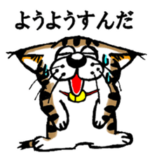 Cat of Tosa accent sticker #9916799