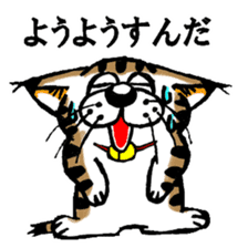 Cat of Tosa accent sticker #9916799