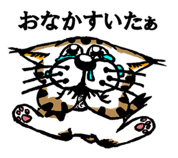 Cat of Tosa accent sticker #9916809