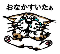 Cat of Tosa accent sticker #9916809