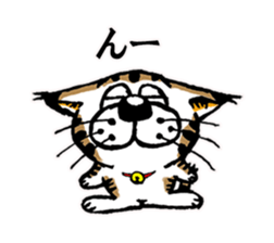 Cat of Tosa accent sticker #9916816