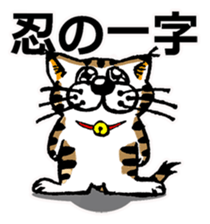 Cat of Tosa accent sticker #9916821