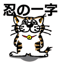 Cat of Tosa accent sticker #9916821
