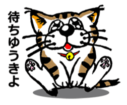 Cat of Tosa accent sticker #9916822