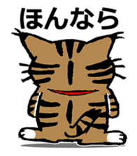 Cat of Tosa accent sticker #9916824