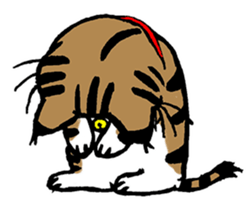 Cat of Tosa accent sticker #9916825