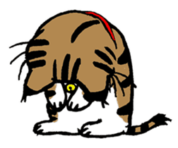 Cat of Tosa accent sticker #9916825