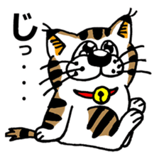 Cat of Tosa accent sticker #9916829