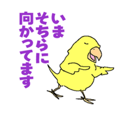 Piico at your fingertips sticker #9917940