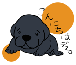 Labrador Retriever baby. sticker #9919993