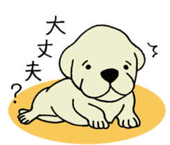 Labrador Retriever baby. sticker #9919996