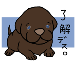 Labrador Retriever baby. sticker #9919999