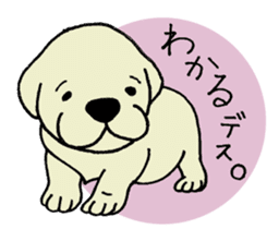 Labrador Retriever baby. sticker #9920004