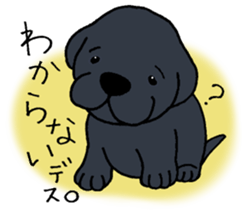 Labrador Retriever baby. sticker #9920005