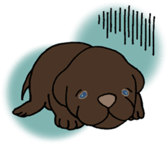 Labrador Retriever baby. sticker #9920015
