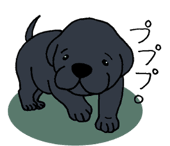 Labrador Retriever baby. sticker #9920017