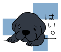 Labrador Retriever baby. sticker #9920025