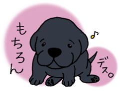 Labrador Retriever baby. sticker #9920029