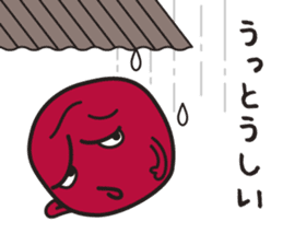 UMEBABA sticker #9922307