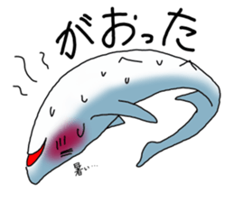 Shark of kesennuma valve sticker #9923369