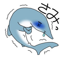 Shark of kesennuma valve sticker #9923371