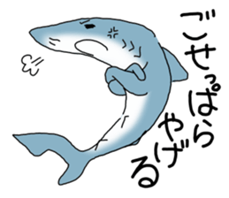 Shark of kesennuma valve sticker #9923372