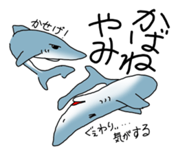 Shark of kesennuma valve sticker #9923374