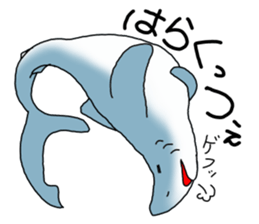 Shark of kesennuma valve sticker #9923375