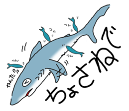 Shark of kesennuma valve sticker #9923378
