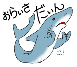 Shark of kesennuma valve sticker #9923384