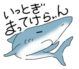 Shark of kesennuma valve sticker #9923387