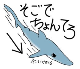 Shark of kesennuma valve sticker #9923388