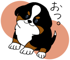 Bernese baby. sticker #9926317