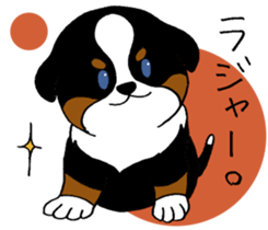 Bernese baby. sticker #9926319