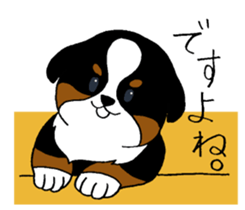 Bernese baby. sticker #9926320