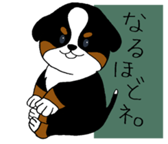 Bernese baby. sticker #9926323