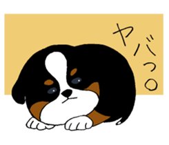 Bernese baby. sticker #9926326
