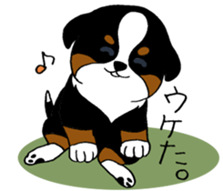 Bernese baby. sticker #9926331