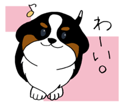 Bernese baby. sticker #9926332
